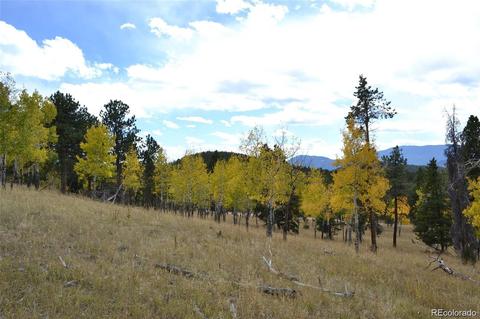26739 Mirage Dr, Conifer, CO 80433 photo 15