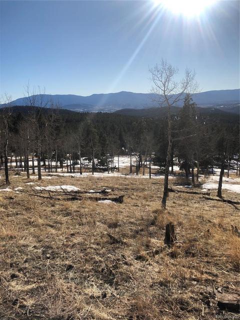 26739 Mirage Dr, Conifer, CO 80433 photo 31