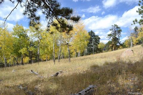 26739 Mirage Dr, Conifer, CO 80433 photo 30