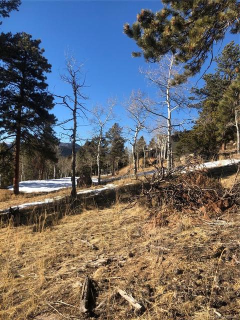 26739 Mirage Dr, Conifer, CO 80433 photo 32