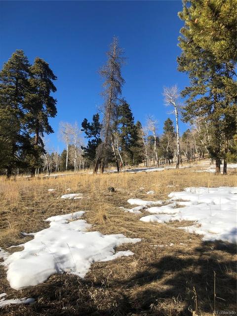 26739 Mirage Dr, Conifer, CO 80433 photo 6