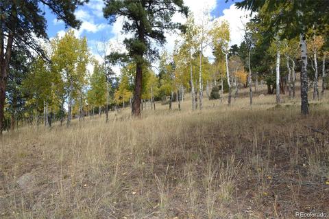 26739 Mirage Dr, Conifer, CO 80433 photo 16