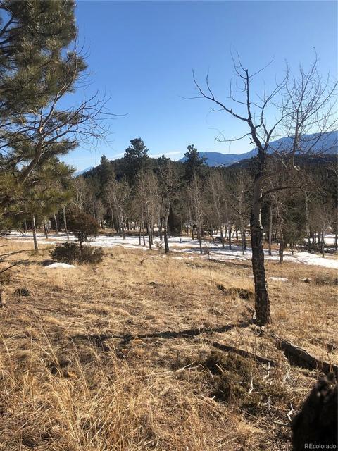 26739 Mirage Dr, Conifer, CO 80433 photo 27