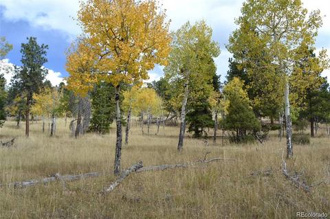 26739 Mirage Dr, Conifer, CO 80433 photo 19