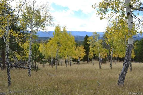 26739 Mirage Dr, Conifer, CO 80433 photo 21