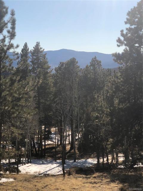 26739 Mirage Dr, Conifer, CO 80433 photo 13