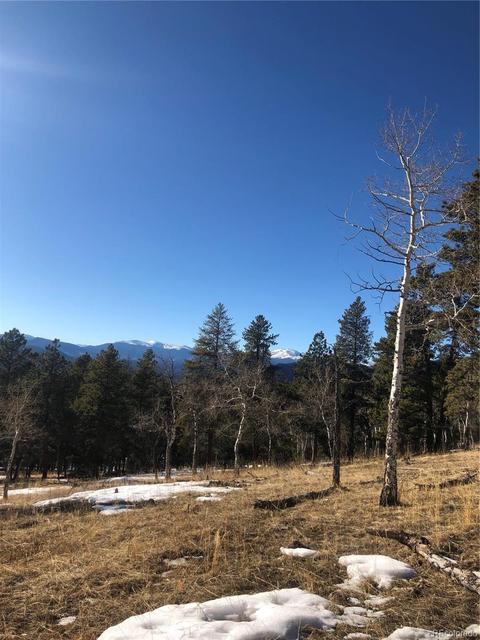 26739 Mirage Dr, Conifer, CO 80433 photo 34