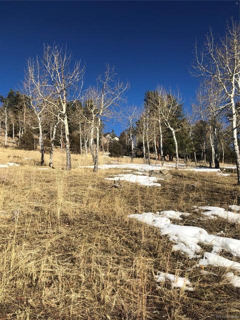 26739 Mirage Dr, Conifer, CO 80433 photo 38