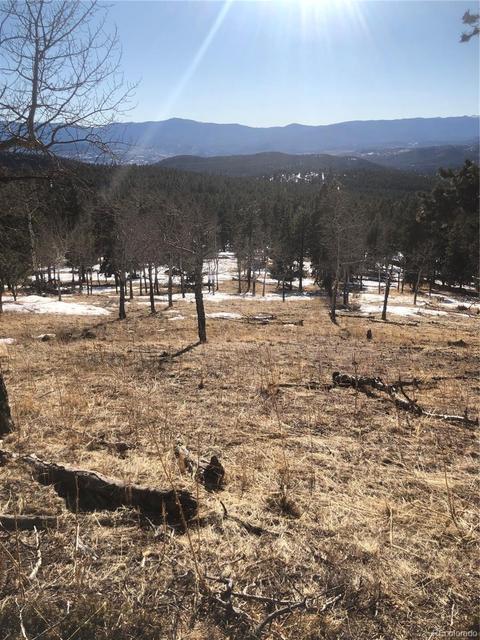 26739 Mirage Dr, Conifer, CO 80433 photo 29