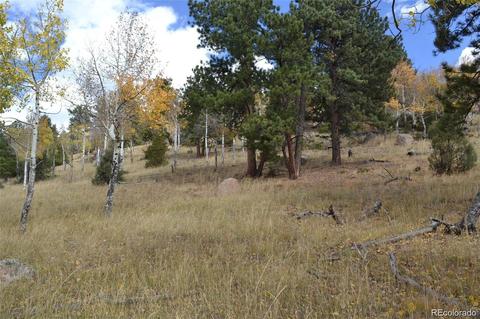 26739 Mirage Dr, Conifer, CO 80433 photo 18