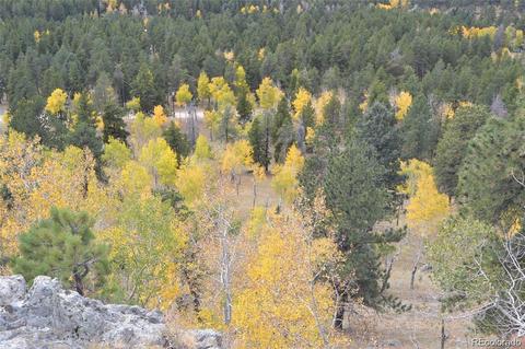 26739 Mirage Dr, Conifer, CO 80433 photo 33