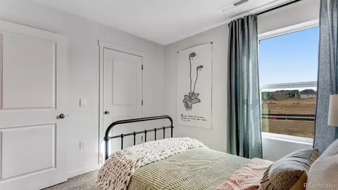 Bedroom - 28331 E 4th Pl, Watkins, CO 80137 photo 2 of 13