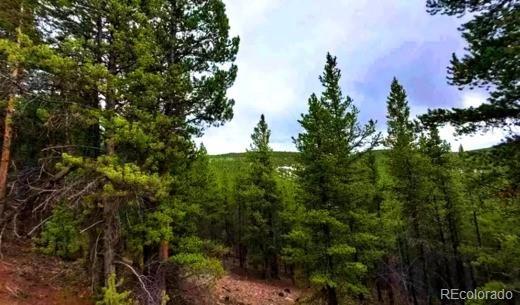 111 Forest Service Rd 7523b, Gunnison, CO 81231