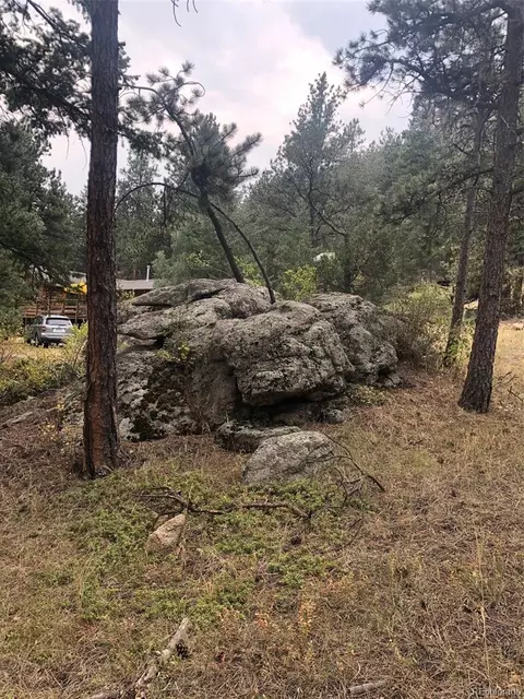 Cedar Drive, Lyons, CO 80540 photo 9