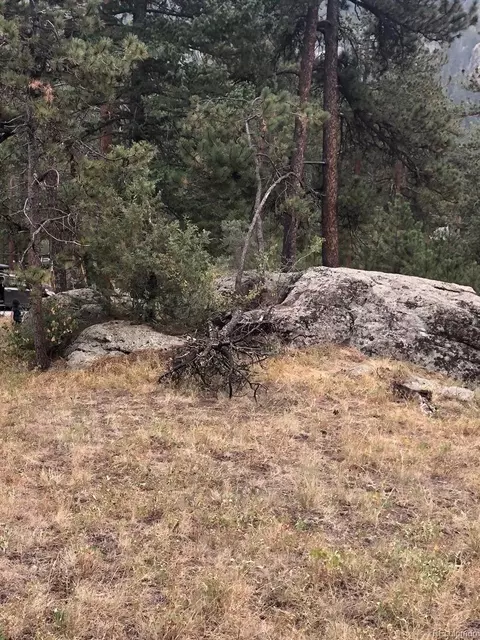 Cedar Drive, Lyons, CO 80540 photo 10