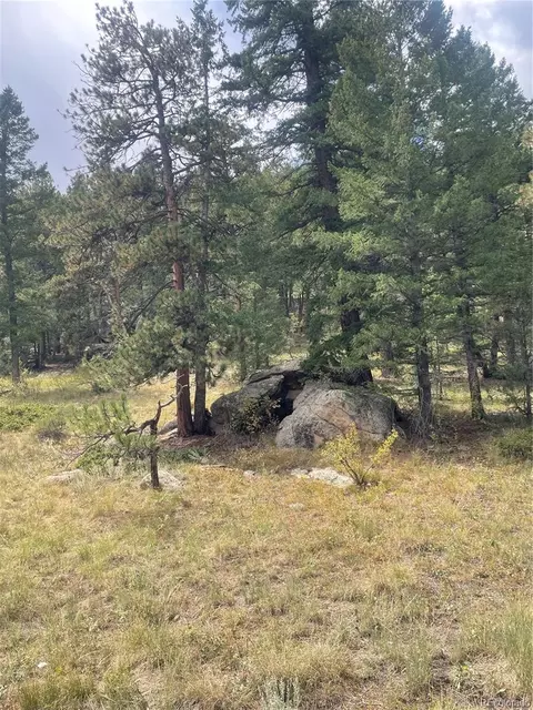 Cedar Drive, Lyons, CO 80540 photo 6