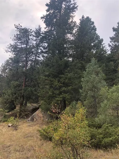 Cedar Drive, Lyons, CO 80540 photo 12