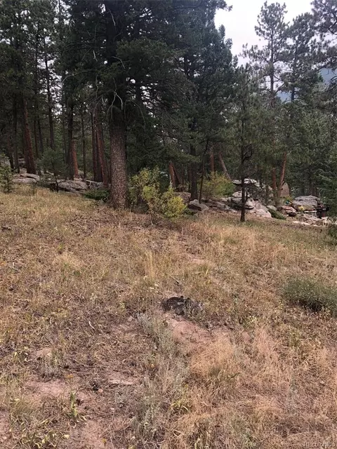 Cedar Drive, Lyons, CO 80540 photo 11