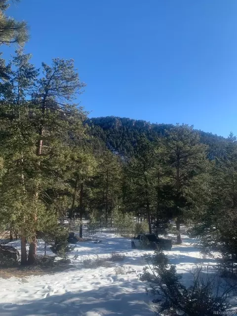Cedar Drive, Lyons, CO 80540 photo 16