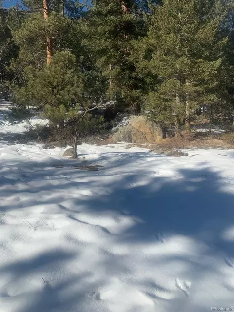 Cedar Drive, Lyons, CO 80540 photo 17