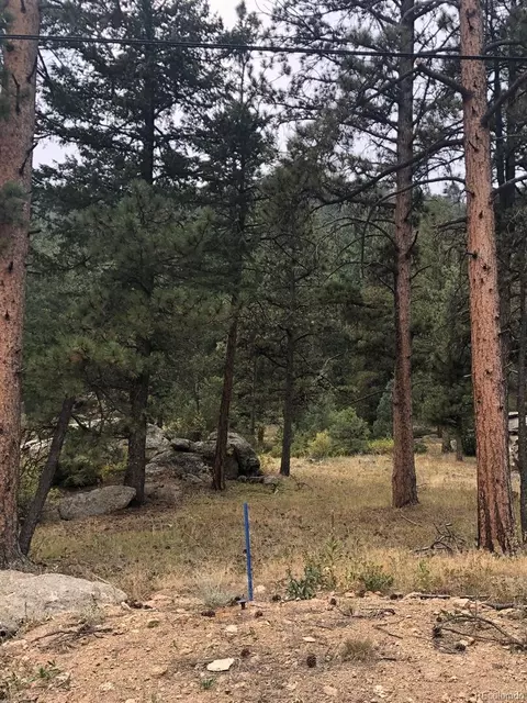 Cedar Drive, Lyons, CO 80540 photo 8