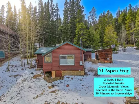 71 Aspen St, Alma, CO 80420