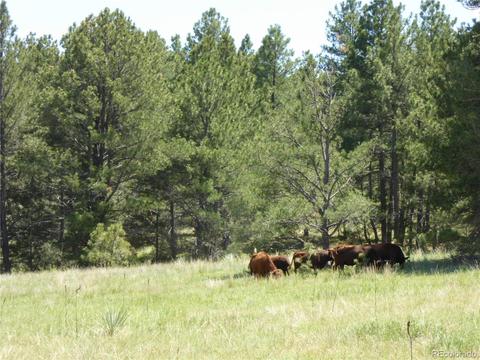 23558 E Lost Creek Trl, Agate, CO 80101 photo 9