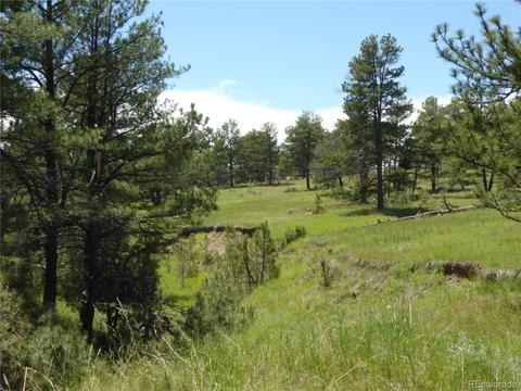 23558 E Lost Creek Trl, Agate, CO 80101 photo 8