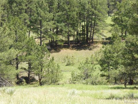 23558 E Lost Creek Trl, Agate, CO 80101 photo 5