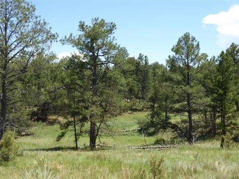 23558 E Lost Creek Trl, Agate, CO 80101 photo 6
