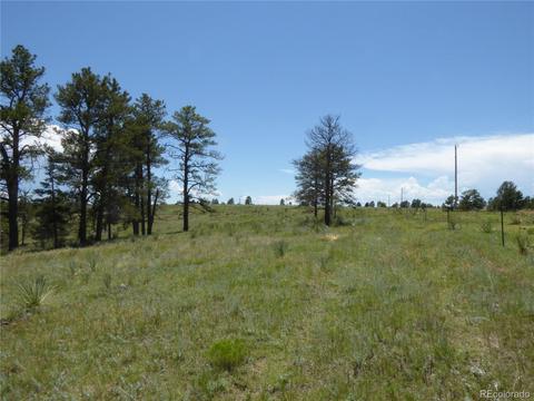 23558 E Lost Creek Trl, Agate, CO 80101 photo 2