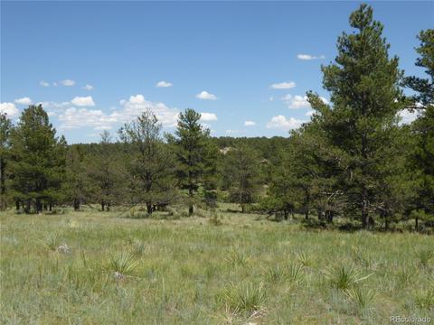 23558 E Lost Creek Trl, Agate, CO 80101 photo 4