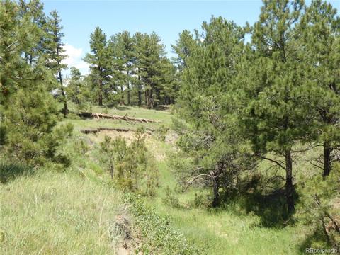 23558 E Lost Creek Trl, Agate, CO 80101 photo 7