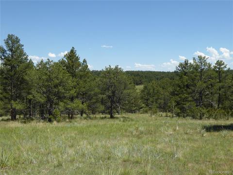 23558 E Lost Creek Trl, Agate, CO 80101 photo 3