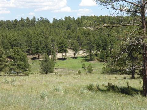 23558 E Lost Creek Trl, Agate, CO 80101 photo 1