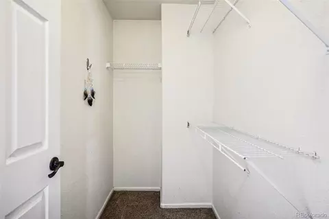 19955 E 49th Pl, Denver, CO 80249 photo 23
