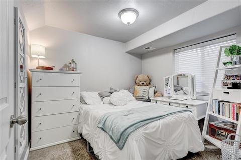 9502 E 109th Pl, Henderson, CO 80640 photo 22