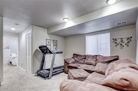 9502 E 109th Pl, Henderson, CO 80640 photo 21