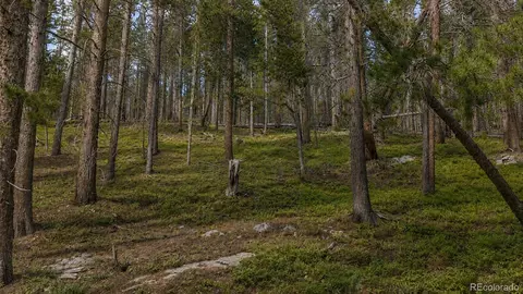 000 Steuart Rd, Idaho Springs, CO 80452