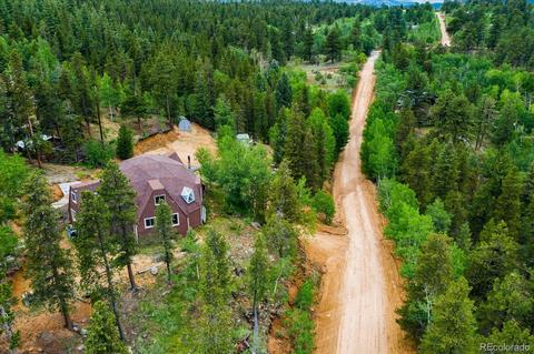 136 Lakeview Rd, Bailey, CO 80421 photo 3