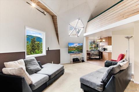 136 Lakeview Rd, Bailey, CO 80421 photo 18