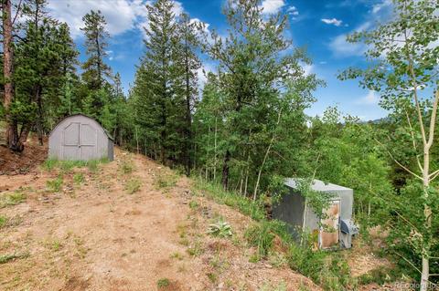 136 Lakeview Rd, Bailey, CO 80421 photo 35