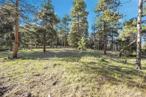Molly Dr, Conifer, CO 80433 photo 5