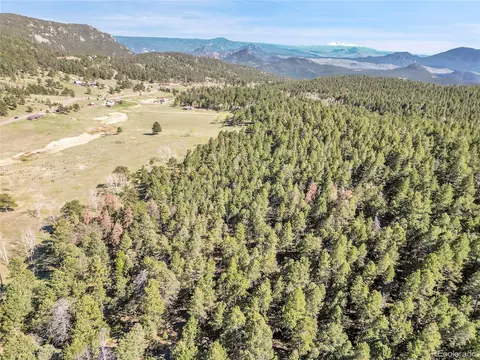 Molly Dr, Conifer, CO 80433 photo 18