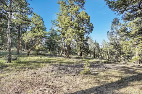 Molly Dr, Conifer, CO 80433 photo 3