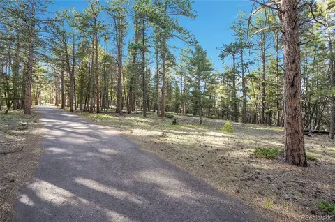 Molly Dr, Conifer, CO 80433 photo 9