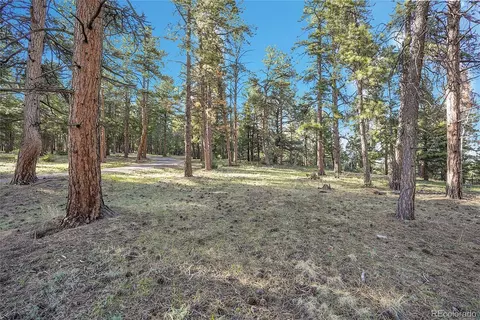 Molly Dr, Conifer, CO 80433 photo 7