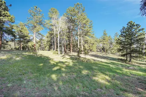 Molly Dr, Conifer, CO 80433 photo 13