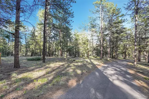 Molly Dr, Conifer, CO 80433 photo 10