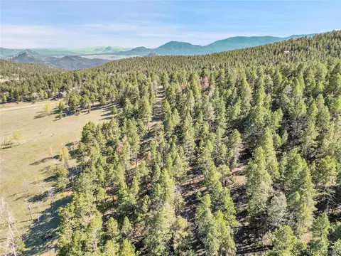 Molly Dr, Conifer, CO 80433 photo 29